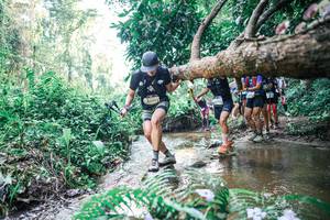 BIB: 
                            <button type="button" onclick="openModal(25461299)" class="btn btn-primary btn-sm float-right btn-popup" data-toggle="modal" data-target=".modal-high-quality">
                        <i class="fas fa-shopping-cart"></i> Add to Cart
                    </button>
                                            <button type="button" onclick="isThisMe(25461299, true)" class="btn btn-success btn-sm float-right btn-popup btn-isme hidden" data-toggle="tooltip" data-placement="bottom" title="นี่คือรูปของคุณใช่ไหม คลิกที่นี่เพื่อเอาเข้าอัลบั้ม">
                        <i class="fas fa-plus"></i> Add to album
                    </button>
                    <button type="button" onclick="isThisMe(25461299, false)" class="btn btn-warning btn-sm float-right btn-popup btn-isnotme hidden">
                        <i class="fas fa-ban"></i> Remove from album
                    </button>